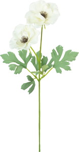 ��������ݷ�׽���ڰ