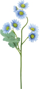 �������ް�ް���ڰ