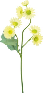 �������ް�ް���ڰ