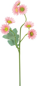 �������ް�ް���ڰ