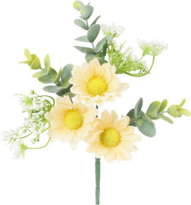 �����Ķް���Я���ޯ��