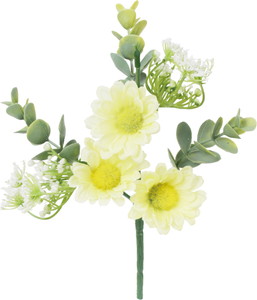 �����Ķް���Я���ޯ��