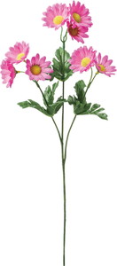 �ް�ް���ڰ