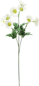 �ް�ް���ڰ