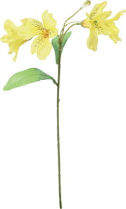 アルストロメリア