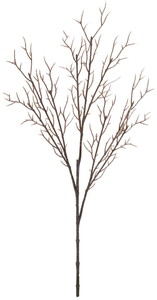 カラーショートブランチ