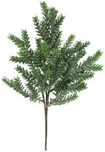 ノーザンパインスプレー