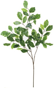 UVػ�����ݼެ�ݽ��ڰ