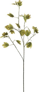 ハンモックリーフスプレー