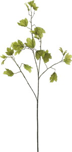 ハンモックリーフスプレー