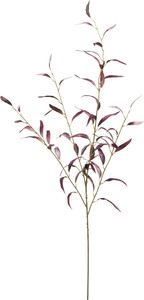 ベルベットユーカリプタススプレー