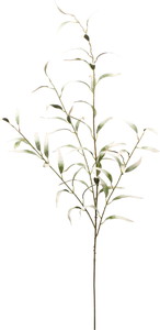 ベルベットユーカリプタススプレー