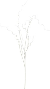 ワインディングペイントブランチ