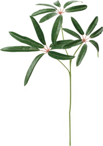 ػ��ټ���ױݶ޽è����ڰS