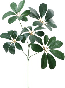 ػ��ټ���׽��ڰM