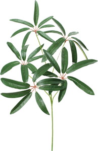 ػ��ټ���ױݶ޽è����ڰM