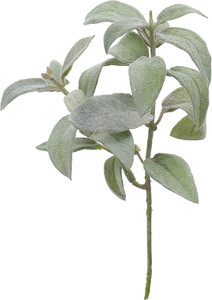 ���޼���