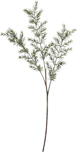 �Ӱ�۰���ذ���ڰ