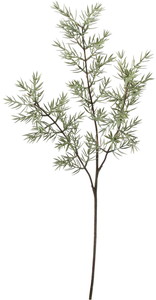 �Ӱ�۰���ذ���ڰ