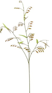 ����ݼ�ѽ��ڰ