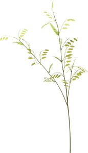 ����ݼ�ѽ��ڰ