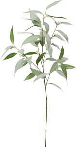 ο��հ�ؽ��ڰ