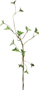 ӽ�޳��������