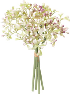 ܲ�����ذ������