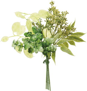 ̪�ذ��ذ�������