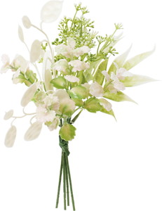 ̪�ذ��ذ�������