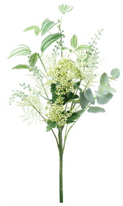 ���ި�Я��