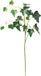 ���ް���ڰ