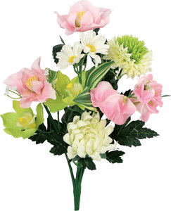 エコブッカブッシュシンビジューム(2P)