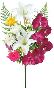 元上代¥1480 プラブッシュダイ