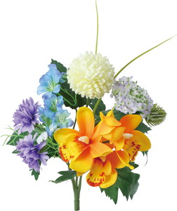 ���������̨