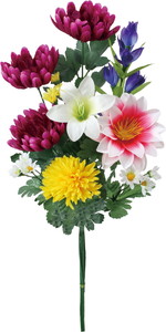 �����޳�����