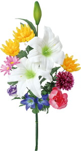 �����ݶ�����