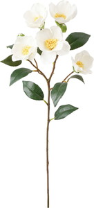 ツバキスプレー