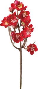 ミニウメブランチ