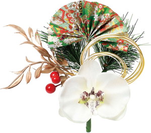 ゲイシュンコチョウランブッシュ