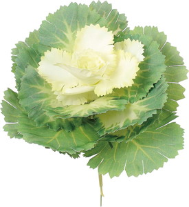 商品検索 ｜ YDMオンラインストア ｜ 横浜ディスプレイミュージアム