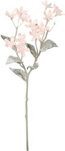 元上代¥450 スノーブルースタースプレー