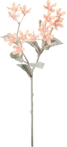 元上代¥450 スノーブルースタースプレー