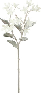 元上代¥450 スノーブルースタースプレー