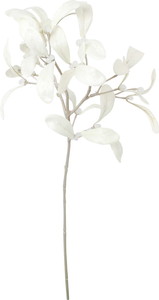 元上代¥450 スノーミスルトゥースプレー