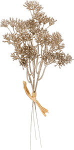 元上代¥680 メタリックベリーバンチ