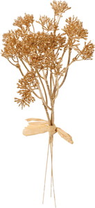 元上代¥680 メタリックベリーバンチ