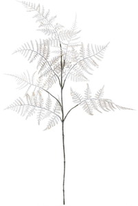 元上代¥580 ブラッシュシダースプレー