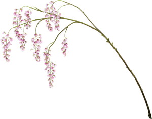 ����ر�����