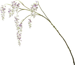 ����ر�����